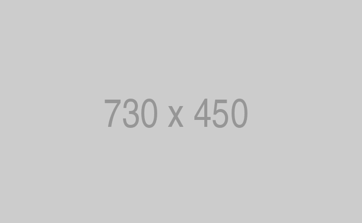 Buy SMM Panel Script